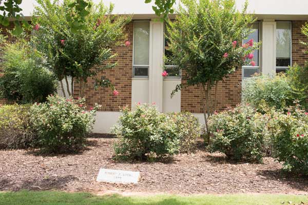 memorial rose garden on gainesville campus