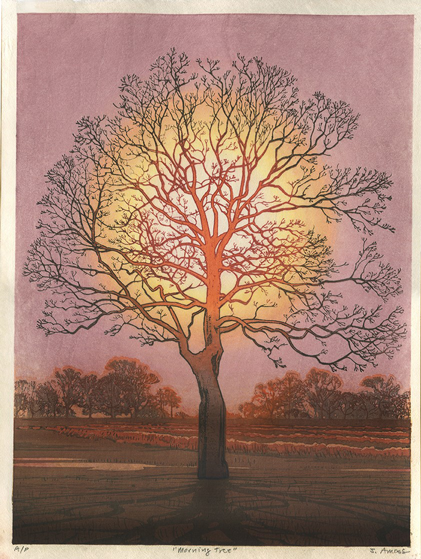 image of a tree with the sun behind it