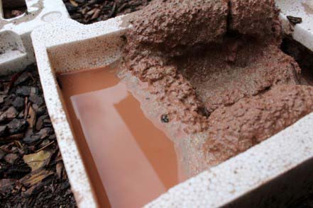 preparing wet terracotta