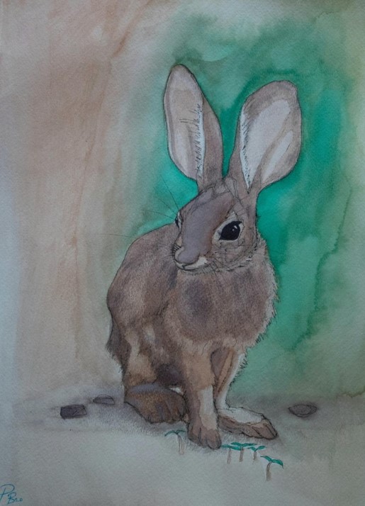 watercolor of bunny