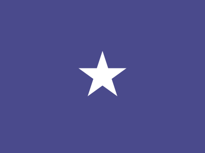 one star general air force flag