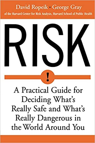 Risk book cover