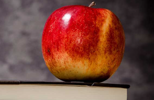apple on a book