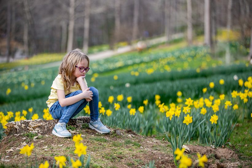 girl sitting on a stump in a forest with daffodills around