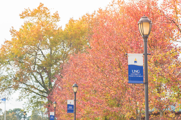 UNG flags on lampposts with trees in background