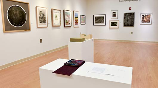 gallery display