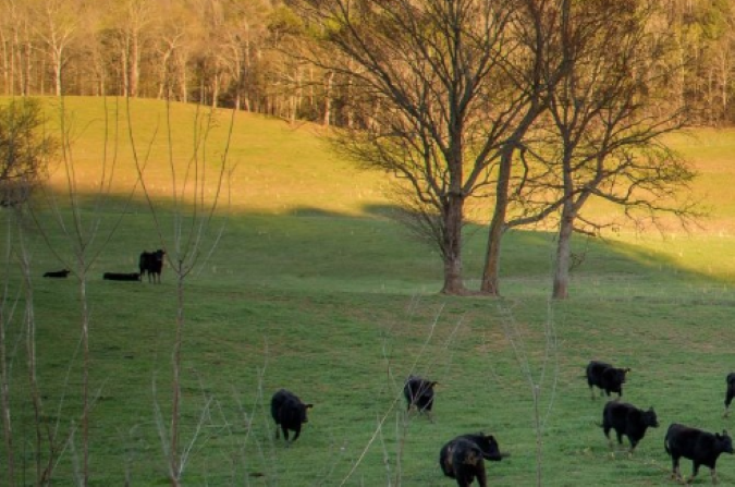 Agriculture Education Endorsement