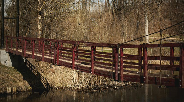 Training &amp; Staff Development