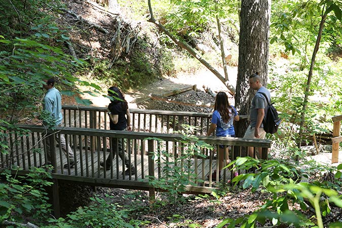 a group of people walking on nature trail
