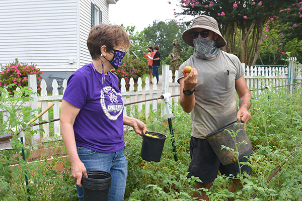 Fresh vegetables from UNG's garden feed Lumpkin County students