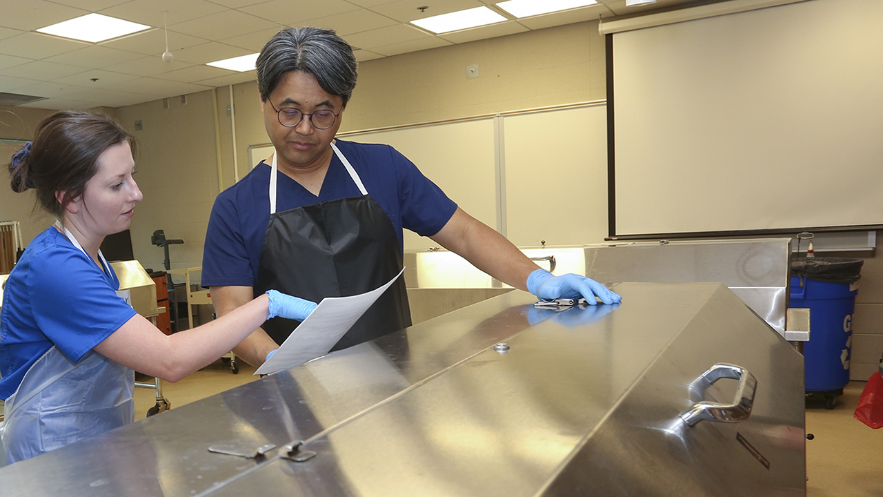Doctoral students learn anatomy from body donors