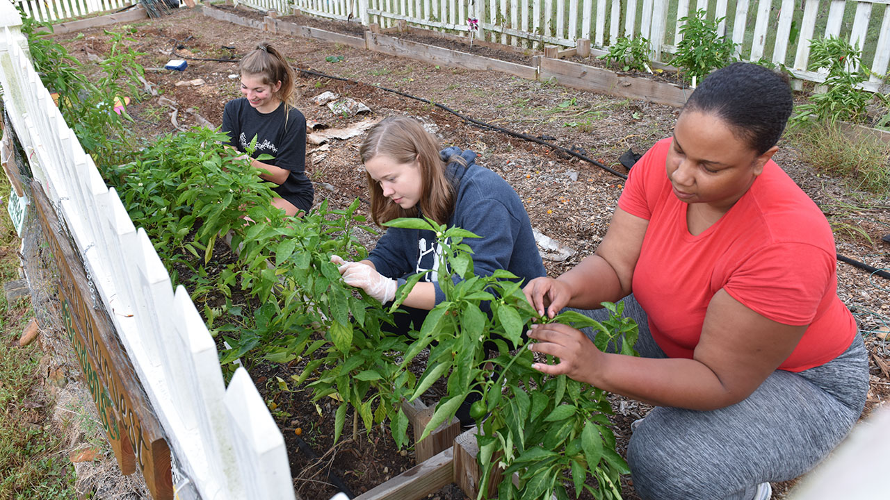 Hometown Harvest gets grant for outdoor classroom