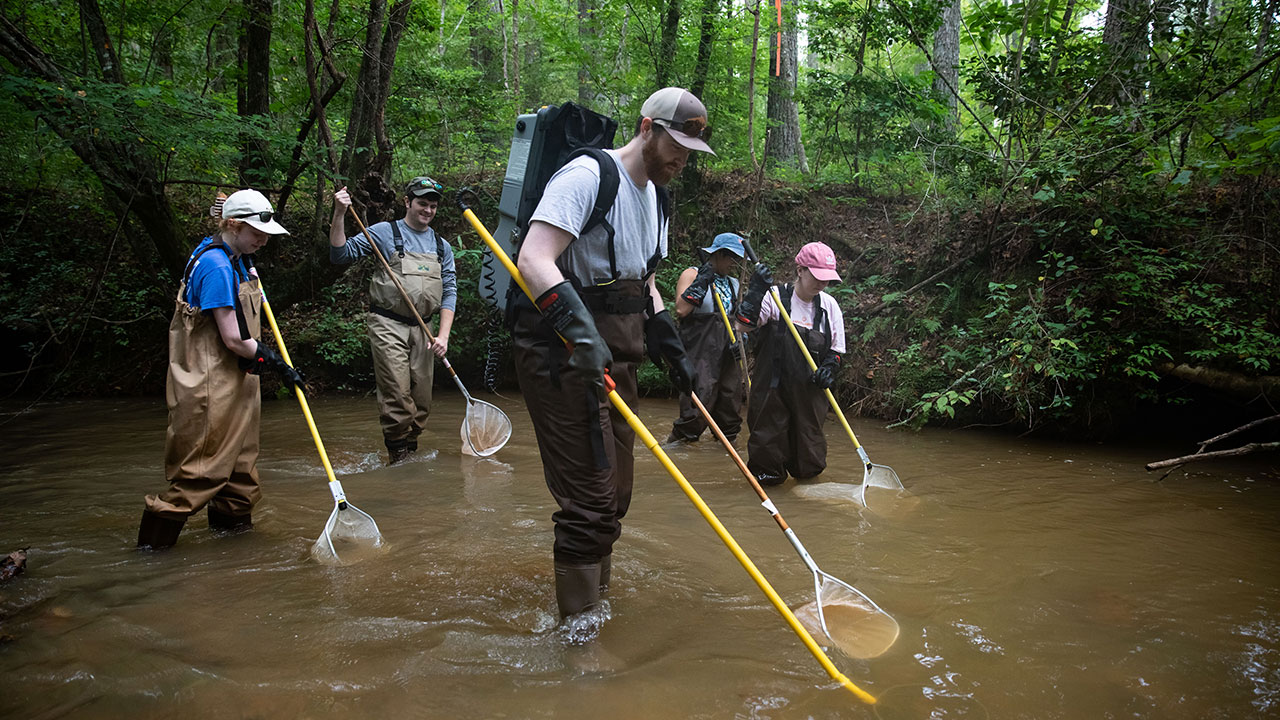 Hurricane Creek offers research opportunities