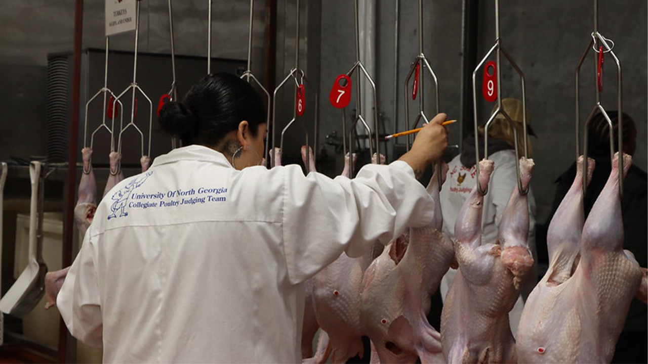 Poultry team places at national event