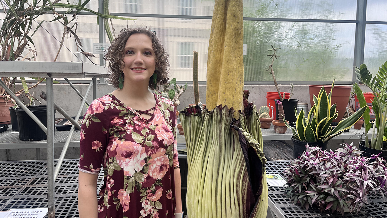 Rare corpse flower is blooming at UNG