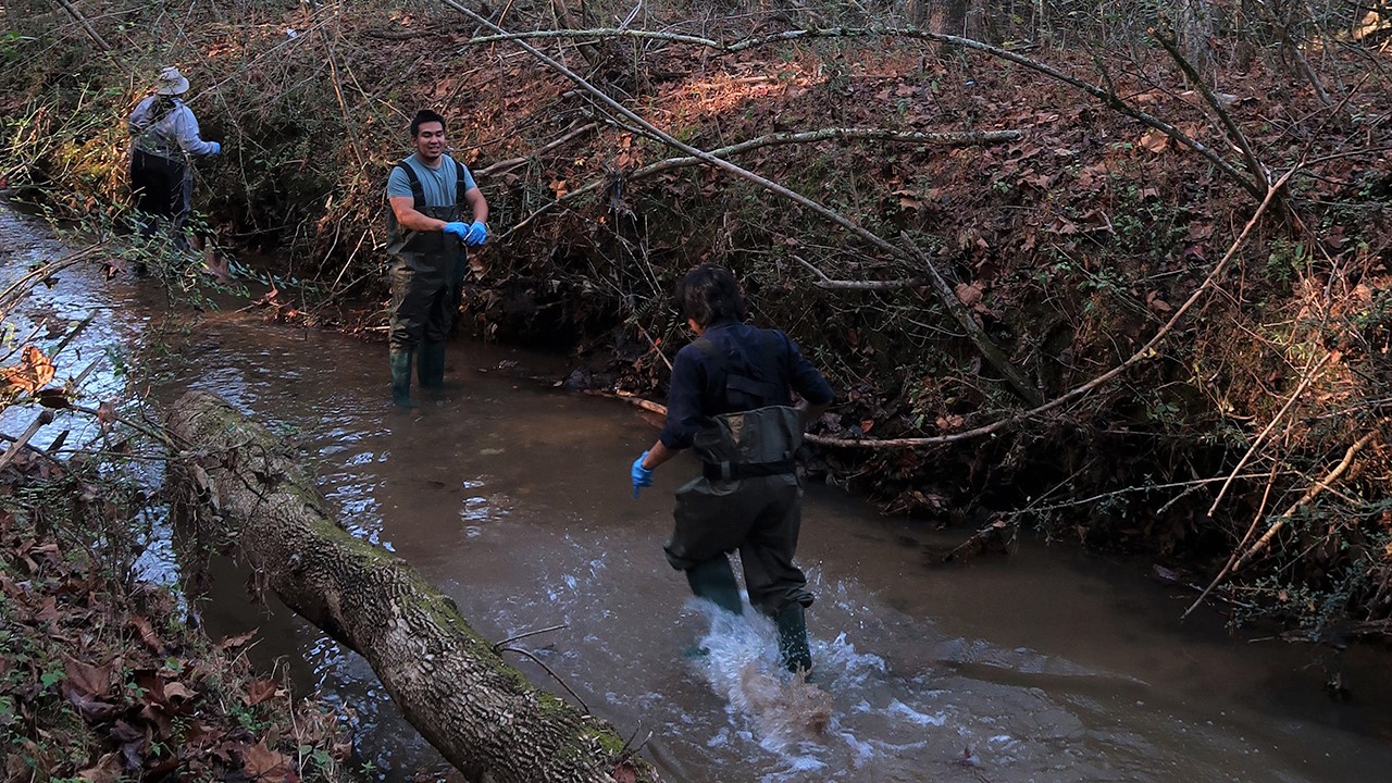 Students clean up UNG natural area