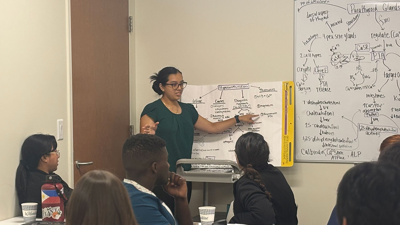 Students help new doctors problem-solve