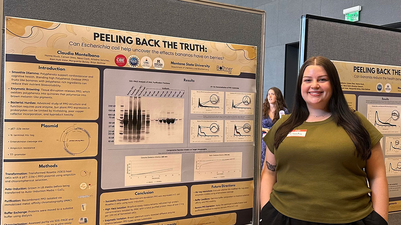 Students embrace research at REUs