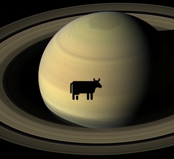 planet hoping kids show event